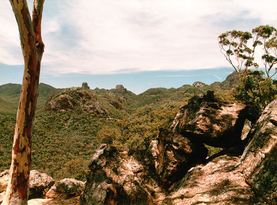 Great Dividing Range