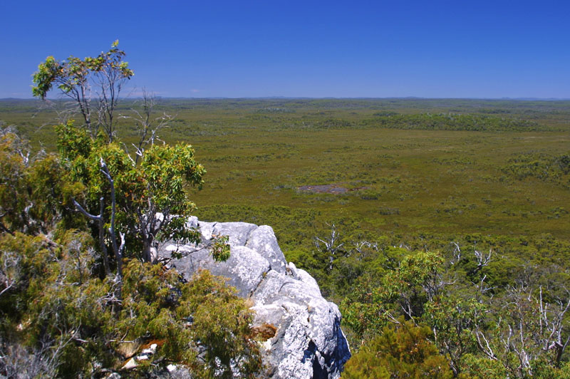 Bushlands of West Australia