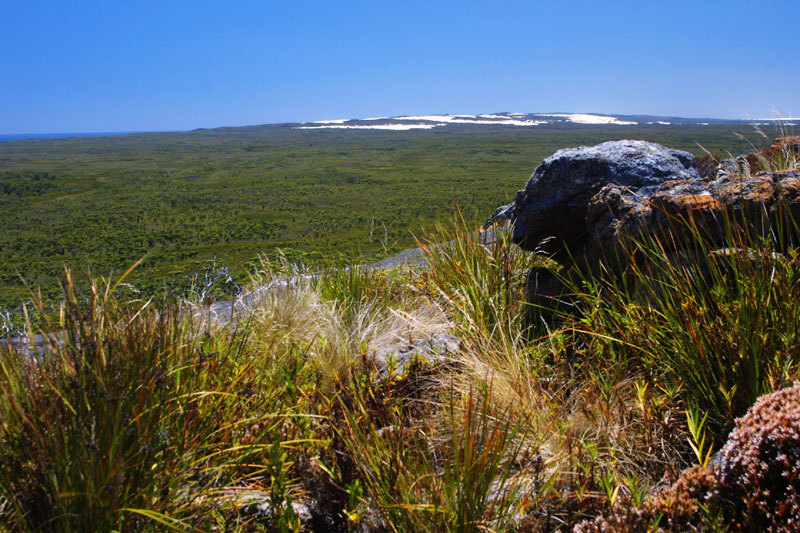 Coast d'Entrecastreaux