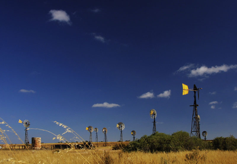 Grasslands