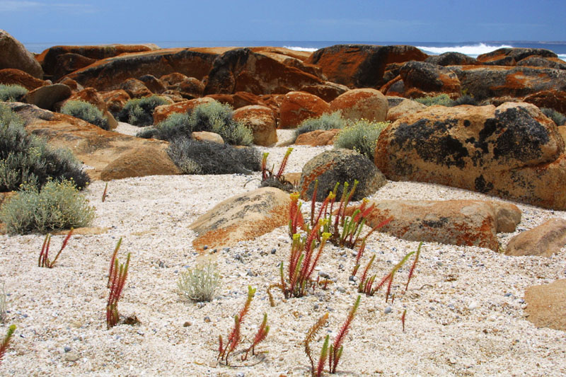 Granites [South Australia]