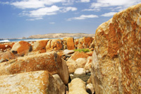 Granites [South Australia]