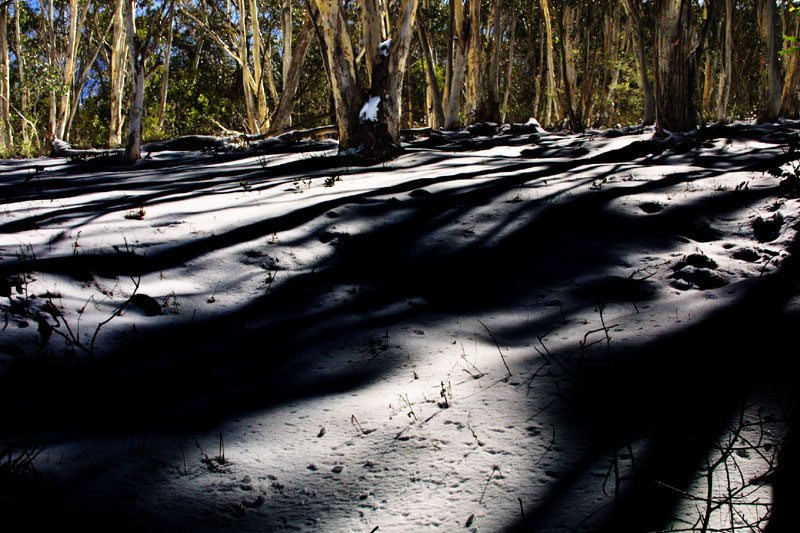 Brindabella Range