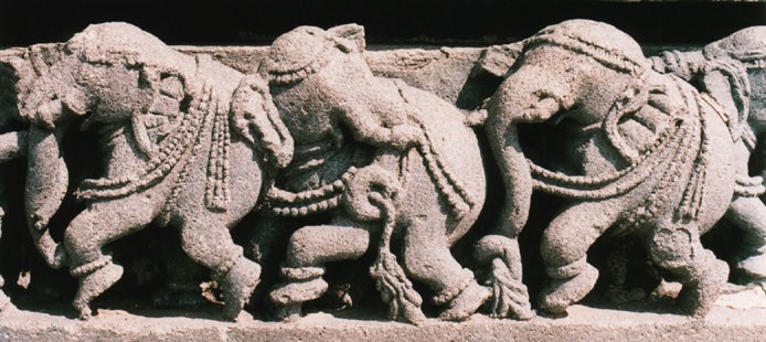 Belur Channekeshava Base Elephants