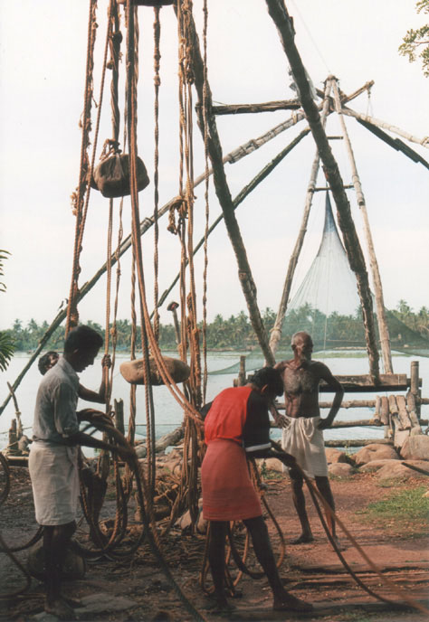 Kochi Fishing