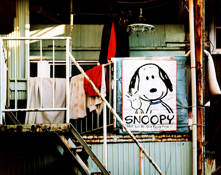 Snoopy's home