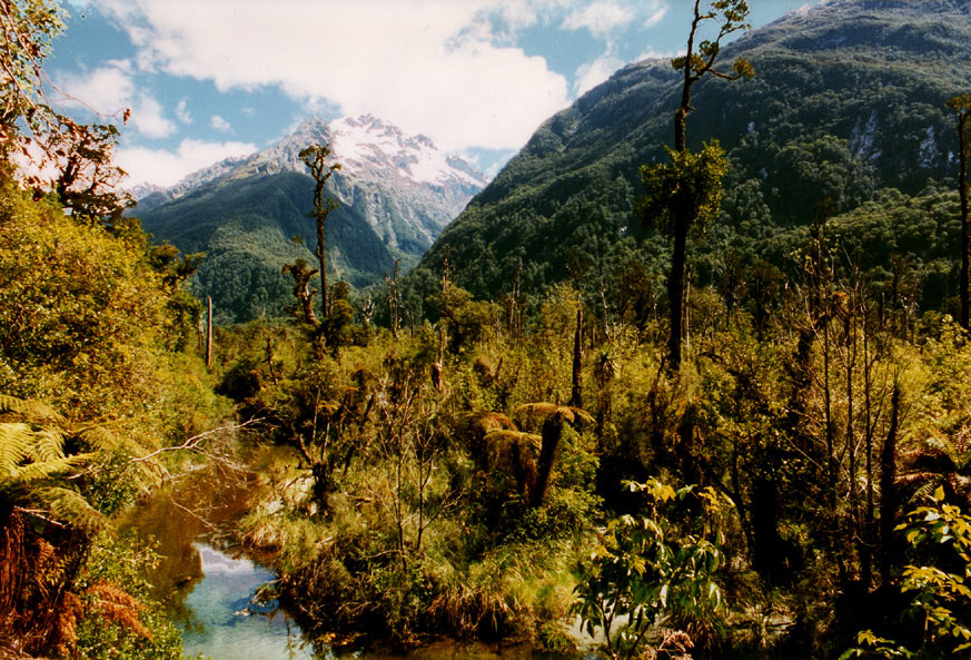 Fjordlands II